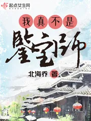 《我真不是鉴宝师!》小说封面