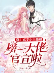 《爆!玄学小主播和榜一大佬官宣啦》小说封面