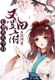 《七爷,夫人今日又没回府》小说封面