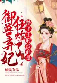 《御兽弃妃狂炸了，踏平王府没商量！》小说封面
