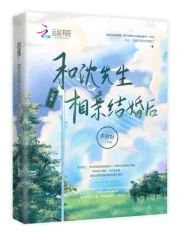《甜爆！和沈先生相亲结婚后》小说封面