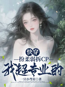 《快穿:扮柔弱拆CP我超专业的》小说封面